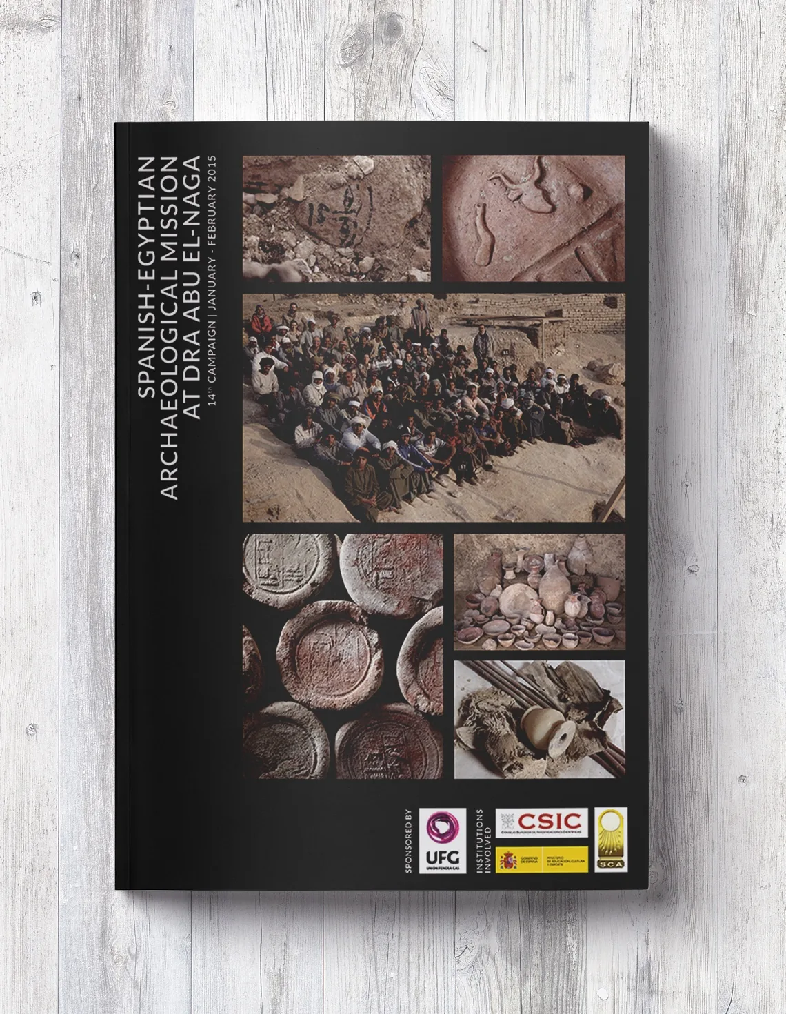 14th campaign dossier, January to February 2015: a grid of excavation photographs on black