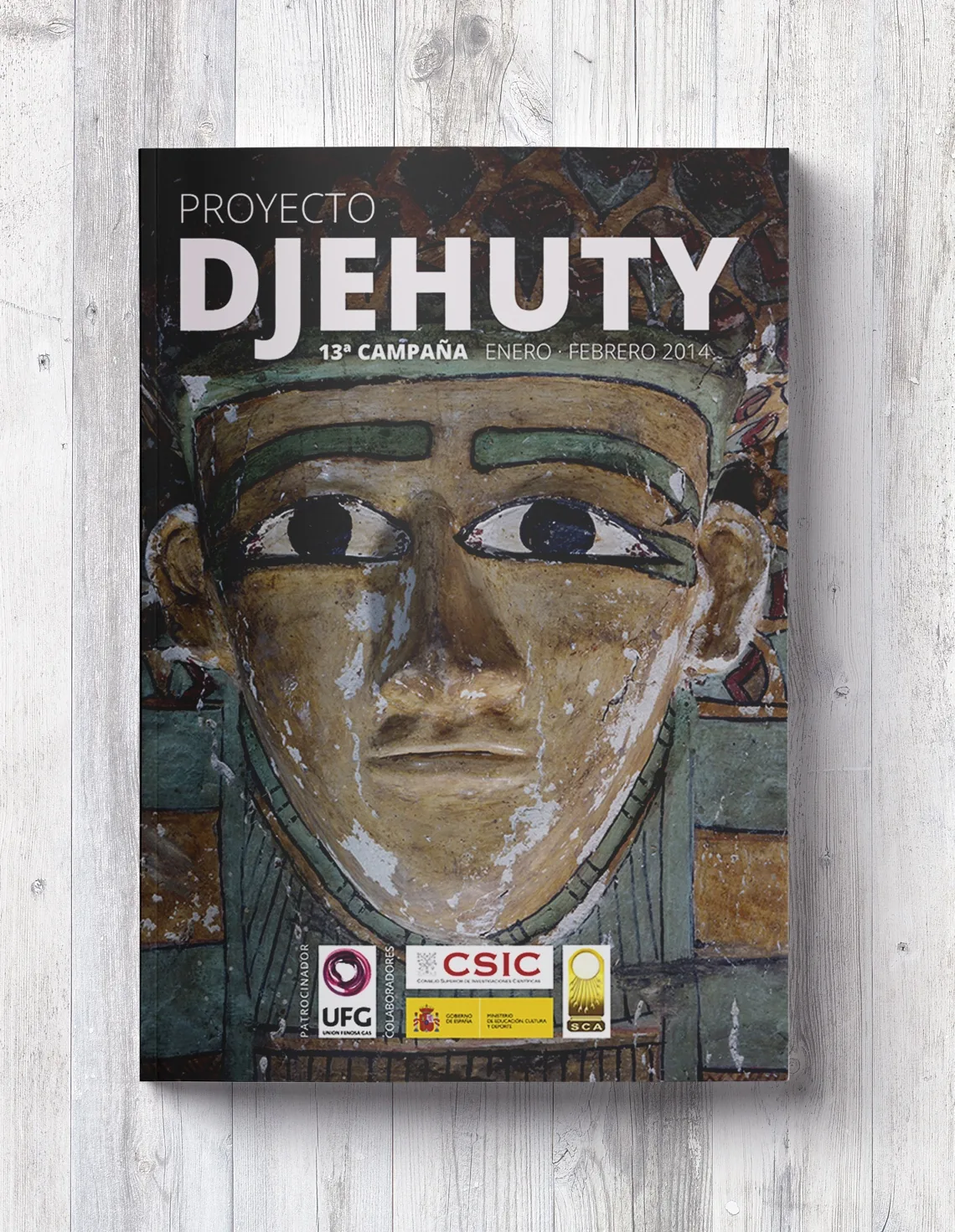 13th campaign dossier, 2014: close-up of a polychrome funerary mask